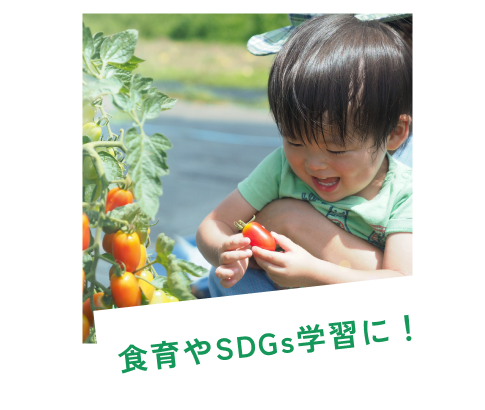 食育やSDGs学習に！